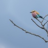 Отель Oase by 7 Star Lodges - Greater Kruger Private 530ha Reserve, фото 29