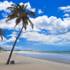 Отель Wai Wai Cumbuco Vista Mar Praia 4 Pessoas 2 Qutos, фото 22
