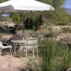 Отель Oro Valley Desert Casita Retreat, фото 9