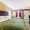 Отель Quality Inn Bessemer I-20 exit 108, фото 5