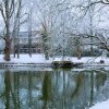 Отель Romantik Hotel Hof zur Linde, фото 15