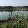 Отель Park well, фото 10