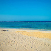Отель Oyster Bay Beach Suites, фото 18