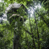 Отель Finca Bellavista Treehouse Community, фото 23
