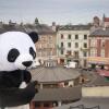 Отель Panda Hostel, фото 13