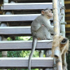 Отель River Valley Resorts, фото 12