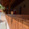 Отель Casa Saseasca, фото 9