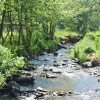 Отель Cozy Holiday Home in Érezée With Forest Near, фото 21