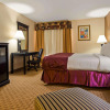 Отель Best Western Saluki Inn, фото 44