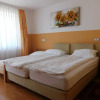 Отель Penzion Kovac, фото 6