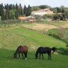 Отель Agriturismo Renello, фото 20