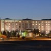Отель Hilton Garden Inn Denver South Park Meadows Area, фото 6