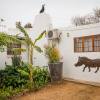 Отель Addo Self Catering, фото 1