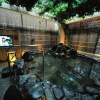 Отель Dormy Inn Express Koriyama Natural Hot Spring, фото 14
