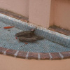 Отель Albergo el Rancho, фото 9