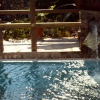 Отель Villa Punta Caruso, фото 3