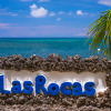 Отель Las Rocas Resort And Dive Center, фото 12
