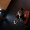 Отель Zhengxing Yanping Homestay, фото 23