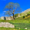 Отель Little Clatterford Walkers Paradise for 2 Close to Carisbrooke Castle, фото 15
