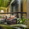 Отель Suites Villas el Jardin, фото 18