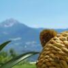 Отель Pension Alpenblick, фото 15