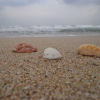 Отель Carmel's Beach Resort, фото 2