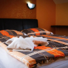 Отель Princess Apartman, фото 4