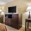 Отель Quality Inn O'Hare Airport, фото 6