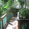 Отель Rainforest Eco Lodge, фото 22