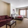 Отель Comfort Inn & Suites, фото 14