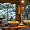 Отель Changa Safari Camp, фото 23