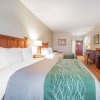 Отель Comfort Inn & Suites Las Vegas - Nellis, фото 22