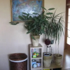 Отель Bultu Apartaments, фото 8
