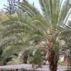 Отель Restal Hotel, фото 8