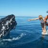 Отель Kingfisher Bay Resort, фото 27