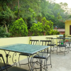 Отель Spot On 442 Green Wood Resort Pvt Ltd, фото 4