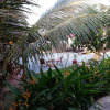 Отель Bird of Paradise Bungalows, фото 8