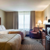 Отель Comfort Inn & Suites, фото 5