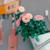 Отель Qiyunju Boutique Inn, фото 1