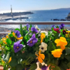 Отель B&B la spiaggetta di Stazzo, фото 9