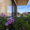 Отель Ave Suites Campestres Jalpan, фото 9