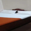 Отель Room Maangta 444 - Tata Memorial, фото 3
