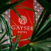 Отель Gayser, фото 42