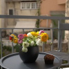 Отель CityZoe Athens Suites, фото 36