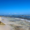 Отель Tao Ocean Akumal F5 By Lockey, фото 16