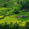 Отель Sapa Hotel Travel, фото 39
