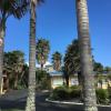 Отель Raglan Palm Beach Motel, фото 48