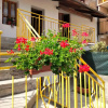 Отель B&B La Marmotta, фото 9