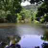 Отель River Near Coorg, фото 7