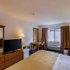 Отель Quality Inn & Suites, фото 4